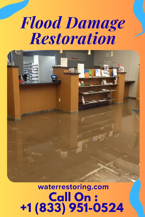 Flood Damage Restoration in Big Lake, MN