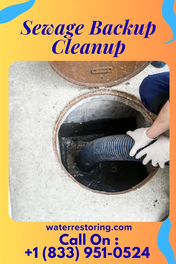 Sewage Backup Cleanup in Big Lake, MN