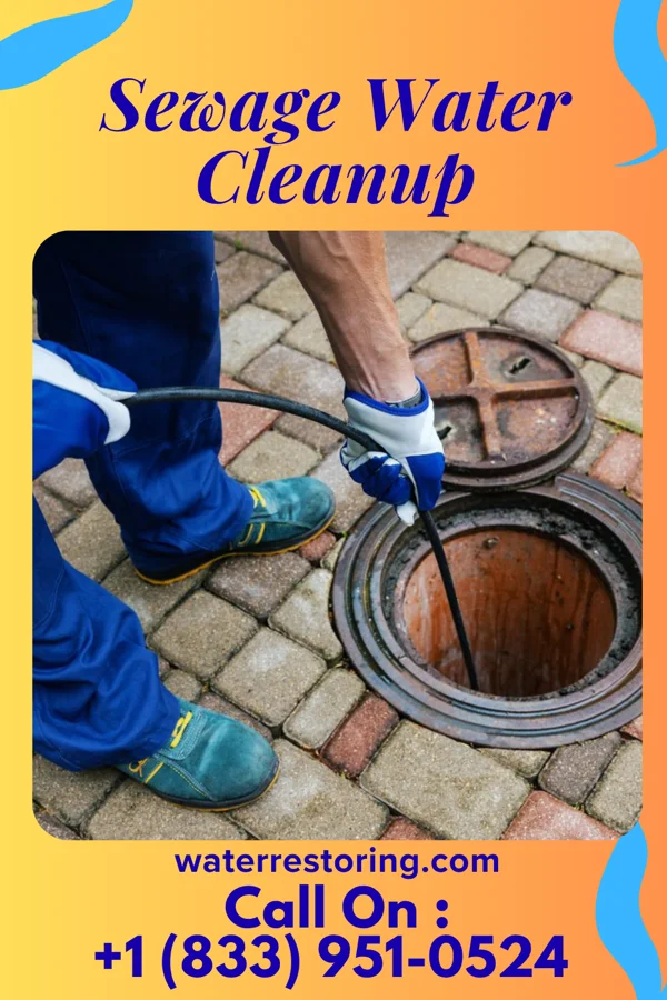 Sewage Water Cleanup in Big Lake, MN