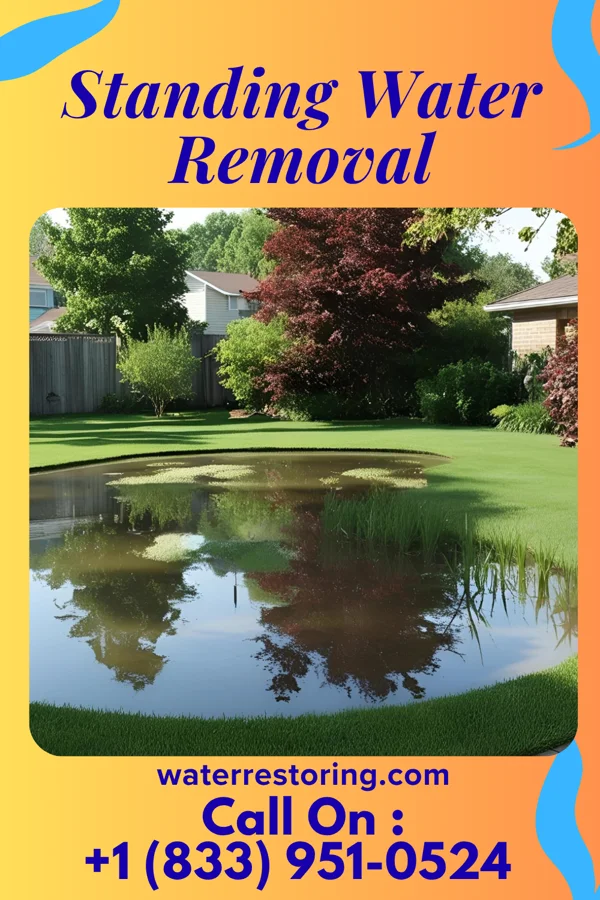 Standing Water Removal in Big Lake, MN